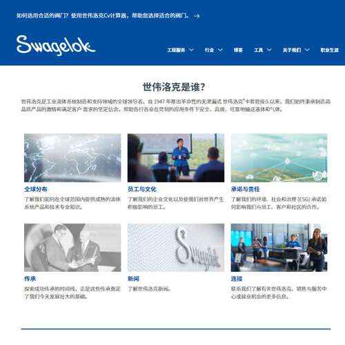 【SS-810-3TMT】Swagelok世伟洛克外螺纹三通接头1/2inx3/8inNP
