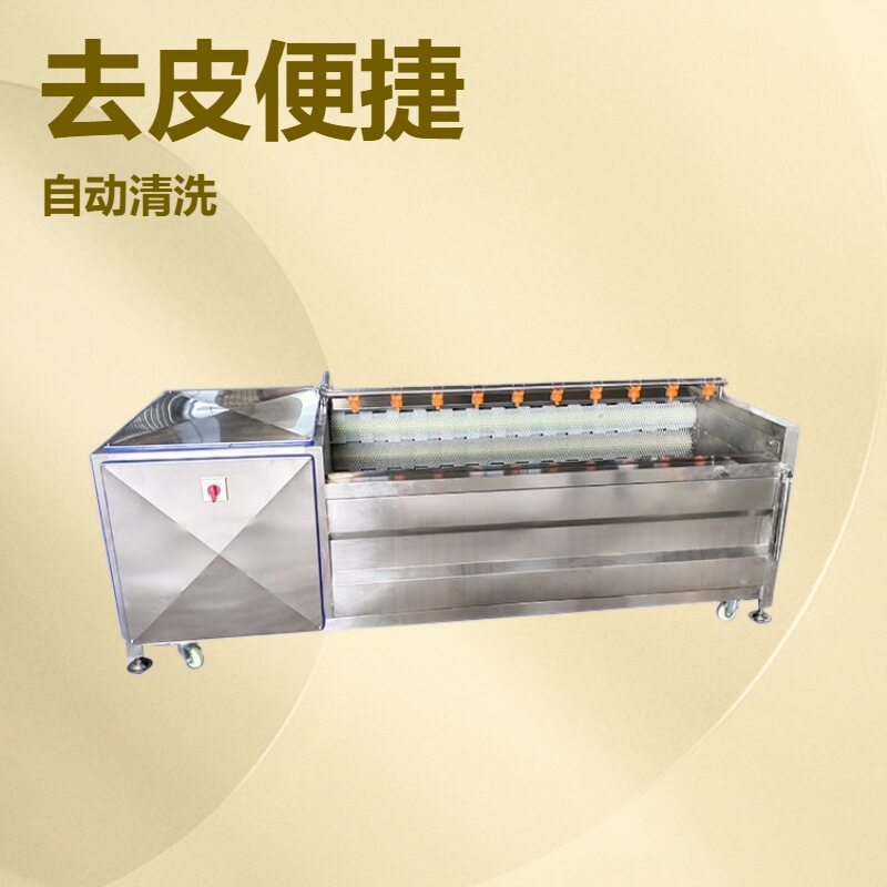 全自动毛辊洗果机去皮清洗