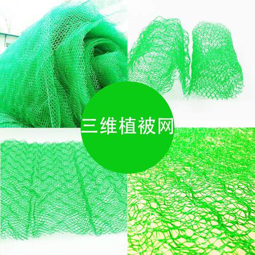 三维植被网固土网护坡盖土网绿化土工格网高速边坡植草网三维网