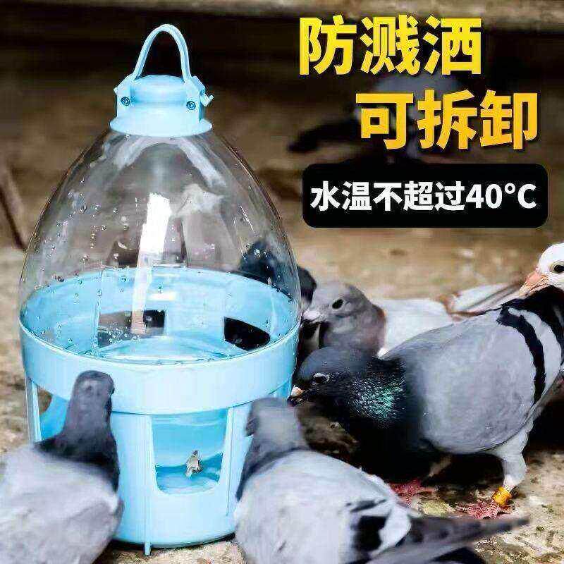 鸽子用品用具饮水器自动喂水信鸽水槽赛鸽喝水桶鸽具鸡用水壶加厚
