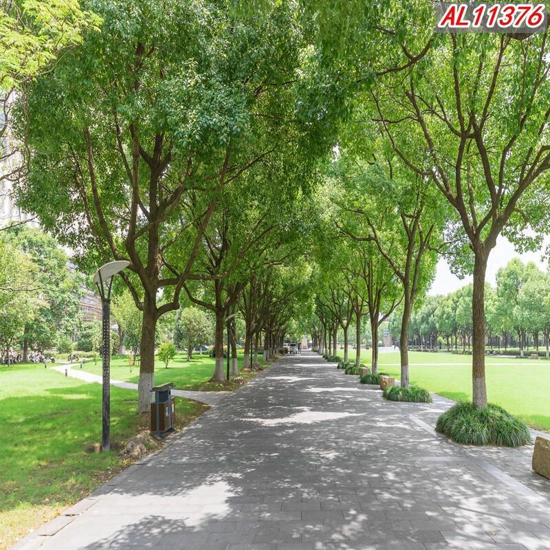 直播背景布农村直播间网红主播背景墙背景布