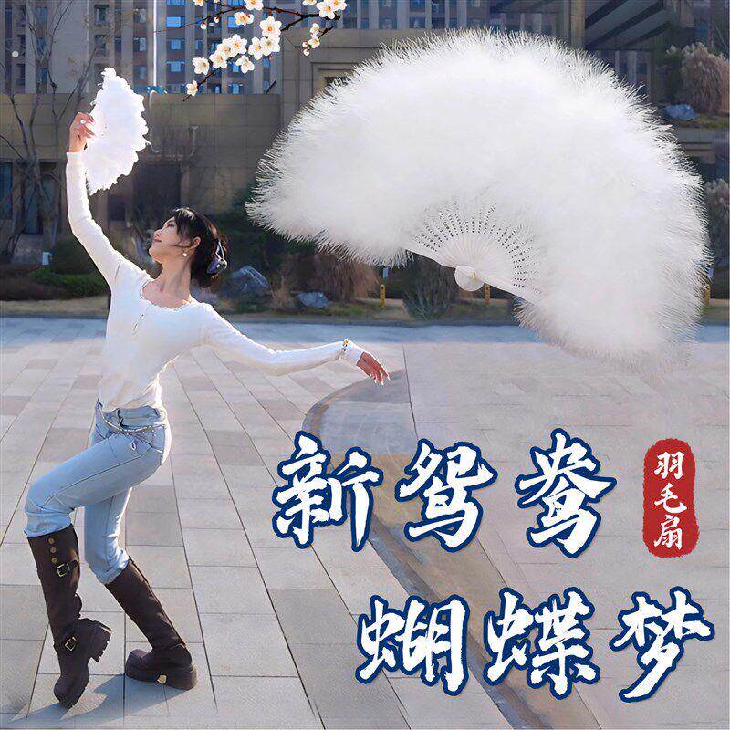 羽毛扇子舞蹈扇新鸳鸯蝴蝶梦白色羽毛扇晚秋古典舞蹈跳舞专用道具