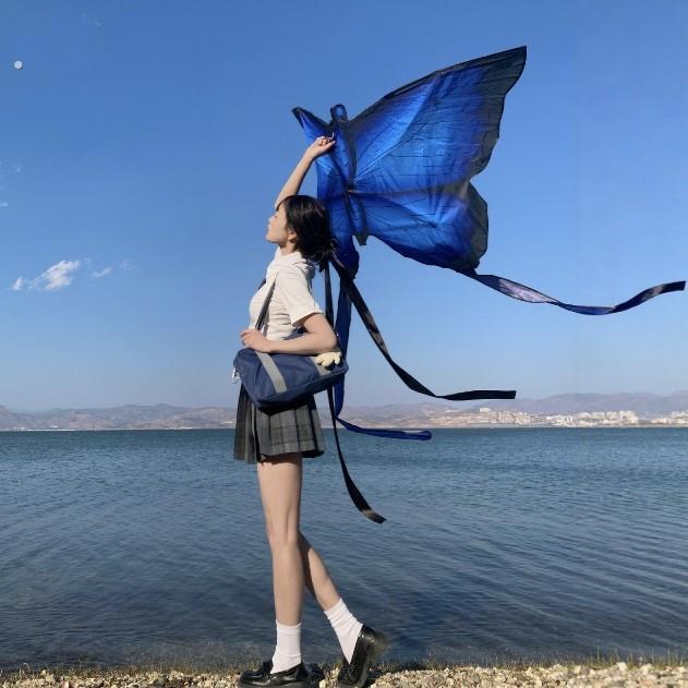 蝴蝶风筝拍照道具大人专用女生手持纸鸢春游网红氛围感出片神器