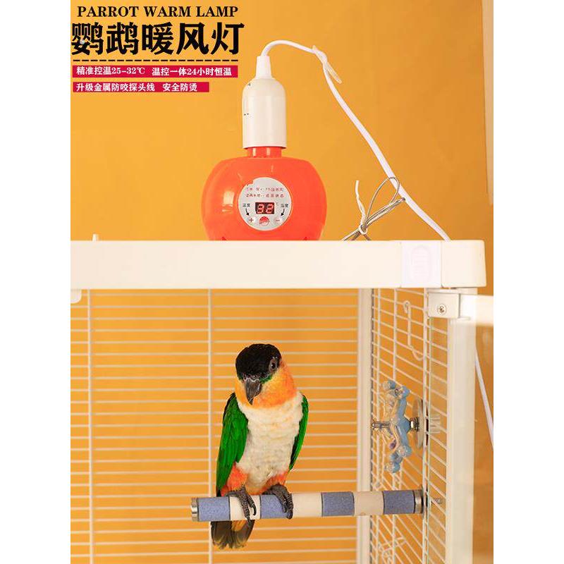 温控鹦鹉用保温灯宠物取暖器智能恒温加热暖风机取暖灯保温箱配件