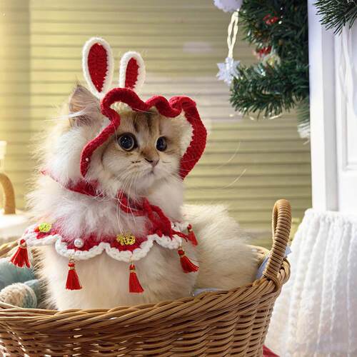 猫咪项圈编织福字新年喜庆猫猫口水巾元旦春节氛围感狗狗围兜装饰