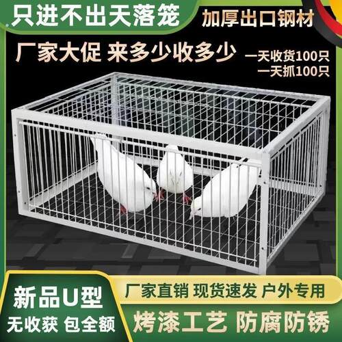 四面撞门养殖只进不出鸟笼全自动天落笼子户外抓收鸽子加密连续用