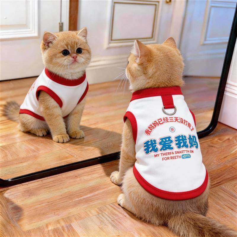 猫咪衣服小猫防掉毛薄款夏季德文猫布偶猫撸猫专用宠物狗狗衣服