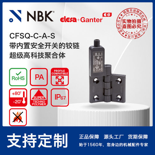 NBKELESACFSQ-C-A-S安全铰链