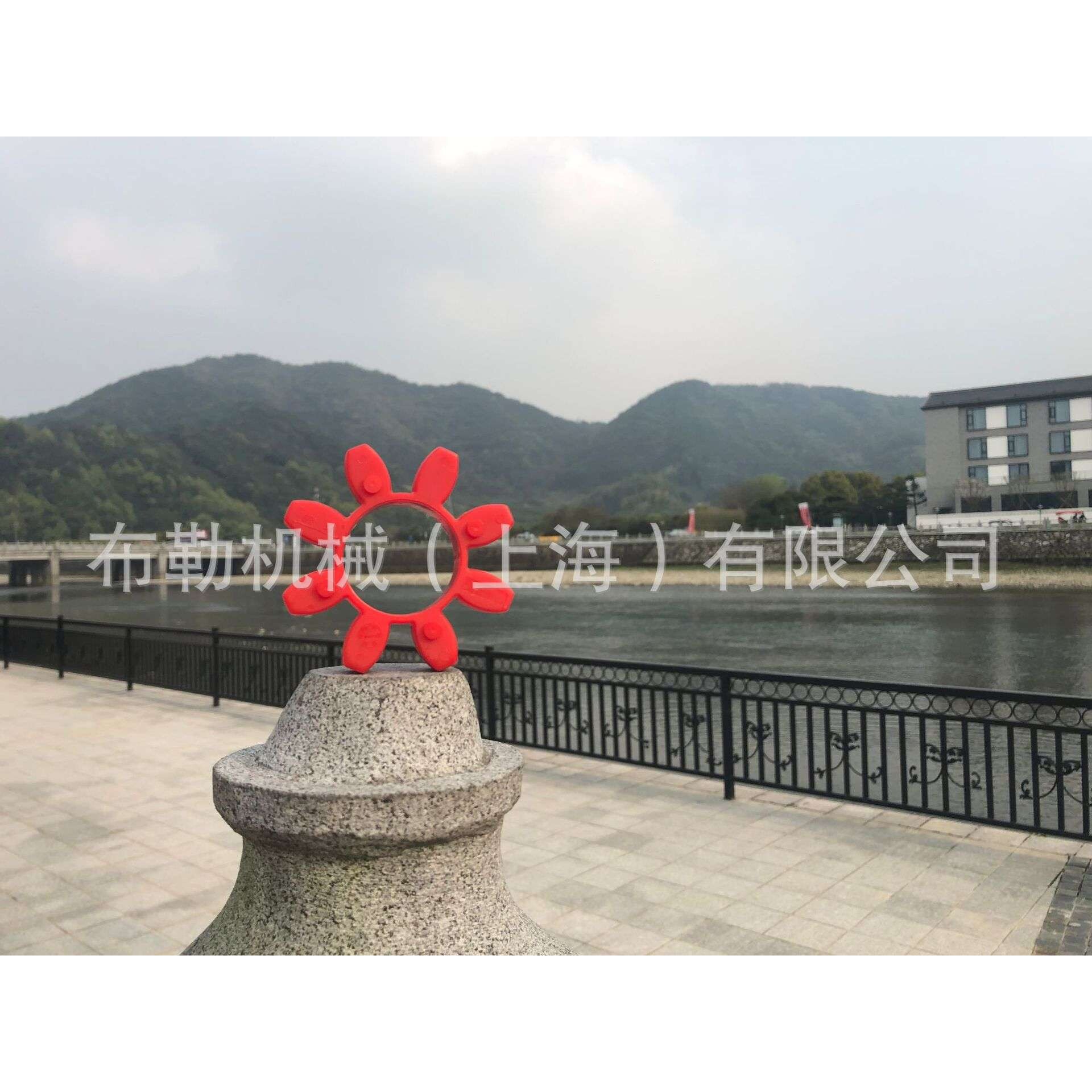 上海布勒梅花联轴器缓冲垫/减震块/弹性体GS38梅花瓣西安银川兰州