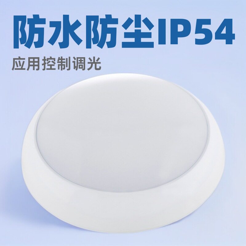 LED圆形亚克力吸顶灯室内明装顶灯IP54应用控制调光灯欧洲款防水