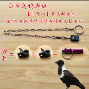白颈乌鸦脚环/鸟用脚链脚环/皮脚套脚绊子护腿站架训鸟用品鸟具