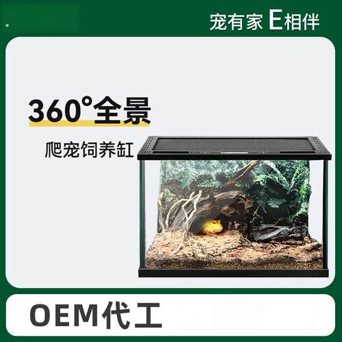 爬宠饲养箱宠物蛇生态雨林沙漠造景角蛙蜘蛛蜥蜴守宫饲养盒玻璃缸