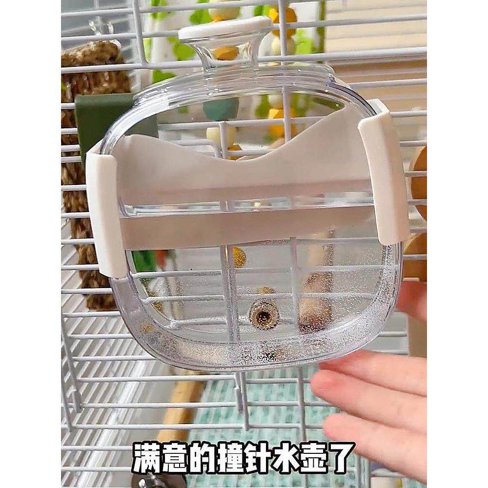 【鹦鹉的100件快递】撞针水壶玄风小太阳鸟用喝水喂水器新式饮水