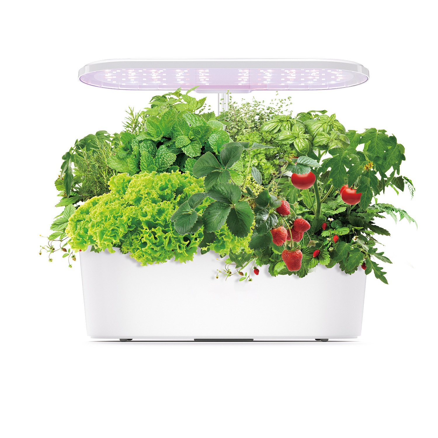 IGS-25SE室内水培智能播种机家用花卉植物种植机阳台厨房无土栽培