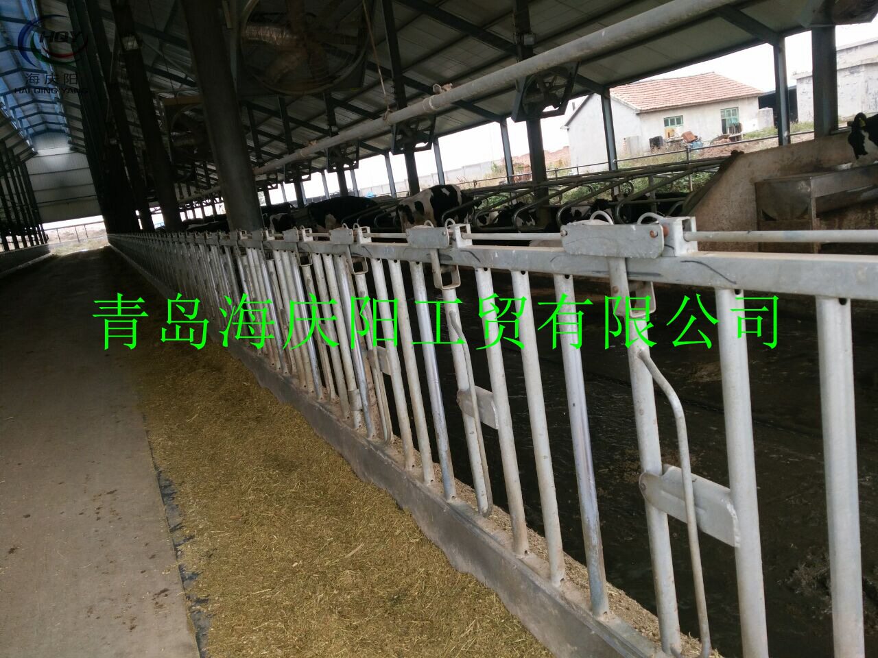 养牛场自动牛颈枷热镀锌防打架