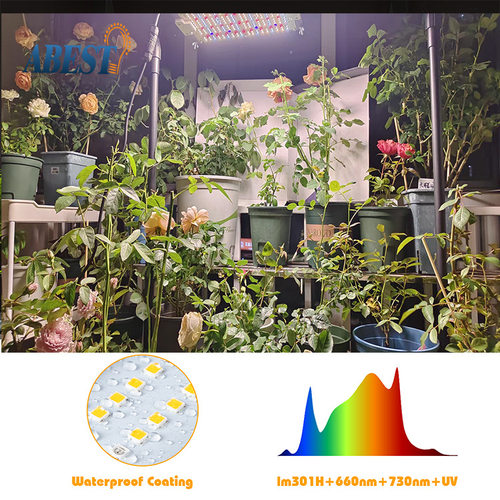开花神器150W三通道量子板植物补光灯IR催花UV增色301h种植灯