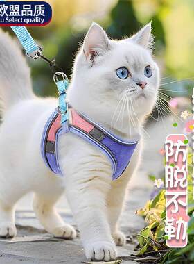 猫咪牵引绳防挣脱外出专用2025新款溜猫绳猫猫抱婴袋背心式胸背猫