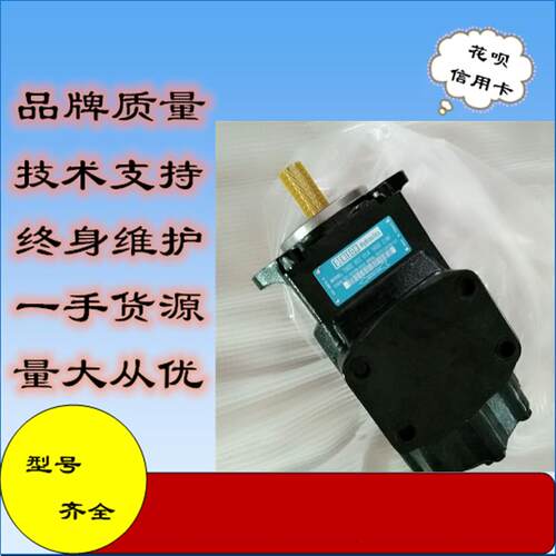 DENISON丹尼逊叶片泵T6CCW-B017-B012-1R00-C100型号齐全，现货！
