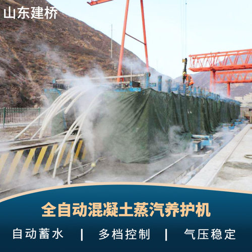 48kw全自动电加热蒸汽发生器 冬季桥梁蒸汽养护设备 煮豆浆蒸汽机