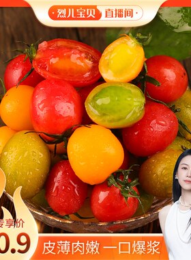 【烈儿宝贝】三色小番茄现摘新鲜多彩小番茄混装生吃水果