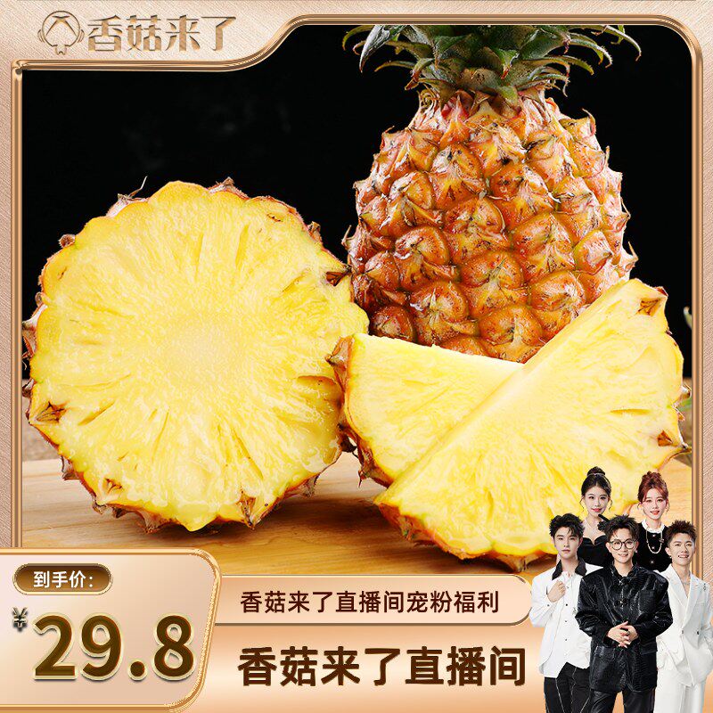 【香菇来了】海南金钻凤梨水果当季正宗新鲜水果手撕菠萝