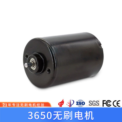 BLDC3650无刷电机同步线性减速直流微型高频机械设备微型电机厂家