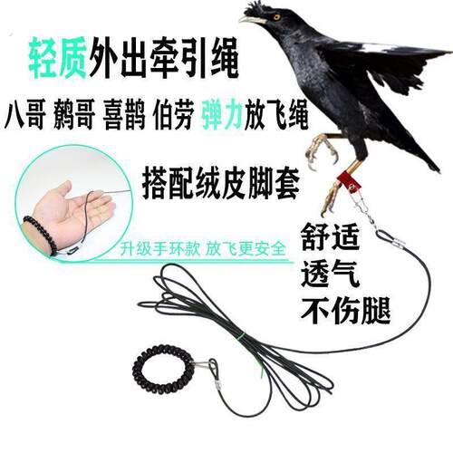 八哥专用脚环鸟用轻便放飞绳家养鹦鹉外出牵引遛鸟绳不伤脚绒皮套