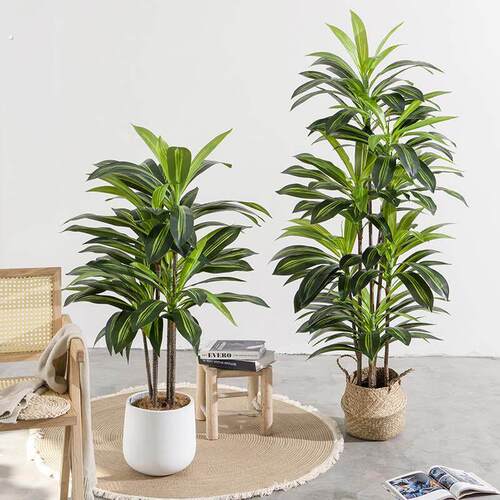 彷真绿色植物高端轻奢巴西木假植物装饰室内客厅彷生落地摆件盆栽