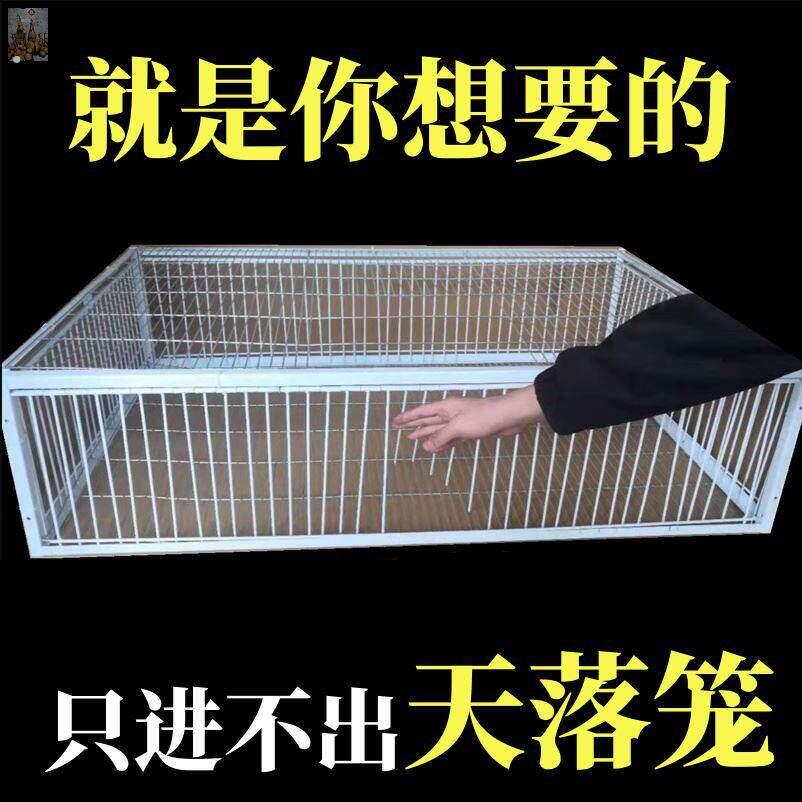 天落笼捕捉神器祇进不出鸟室外鸽子笼加厚加密全自动收活络撞门