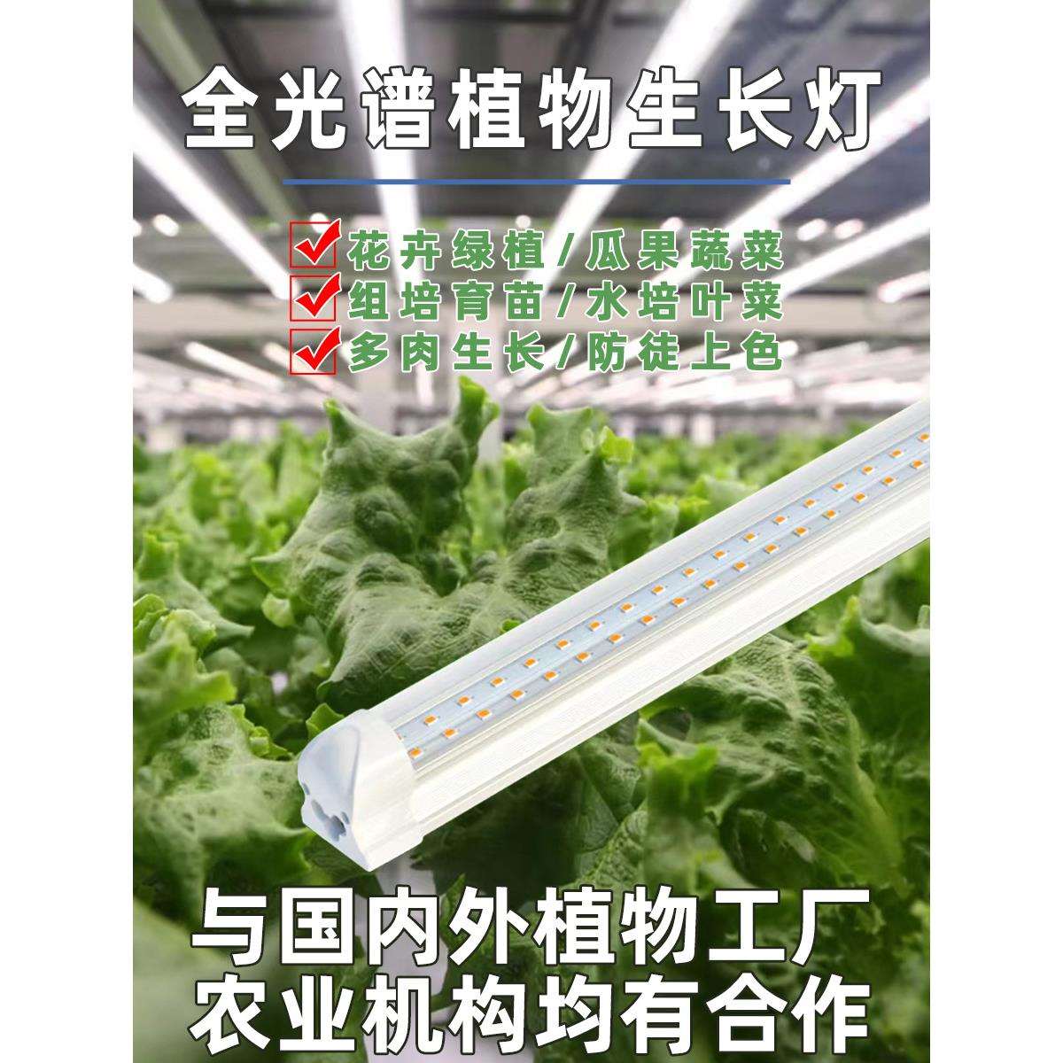 未来植物补光灯全光谱植物生长灯水培叶蔬菜组培育苗绿植花卉草莓