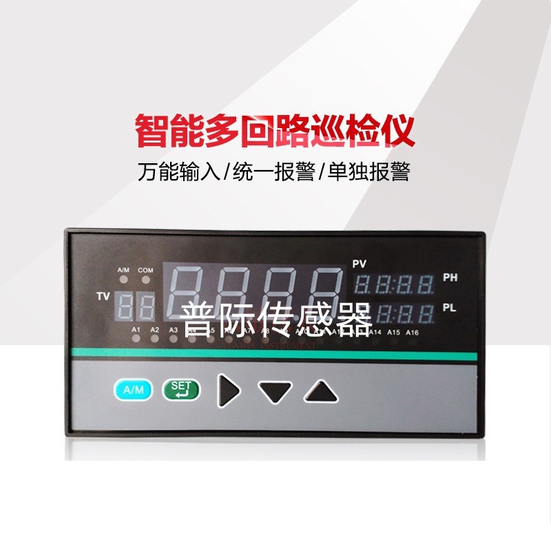 NPXJ-20110巡检仪 十六路测量显示巡检仪 数字显示报警器
