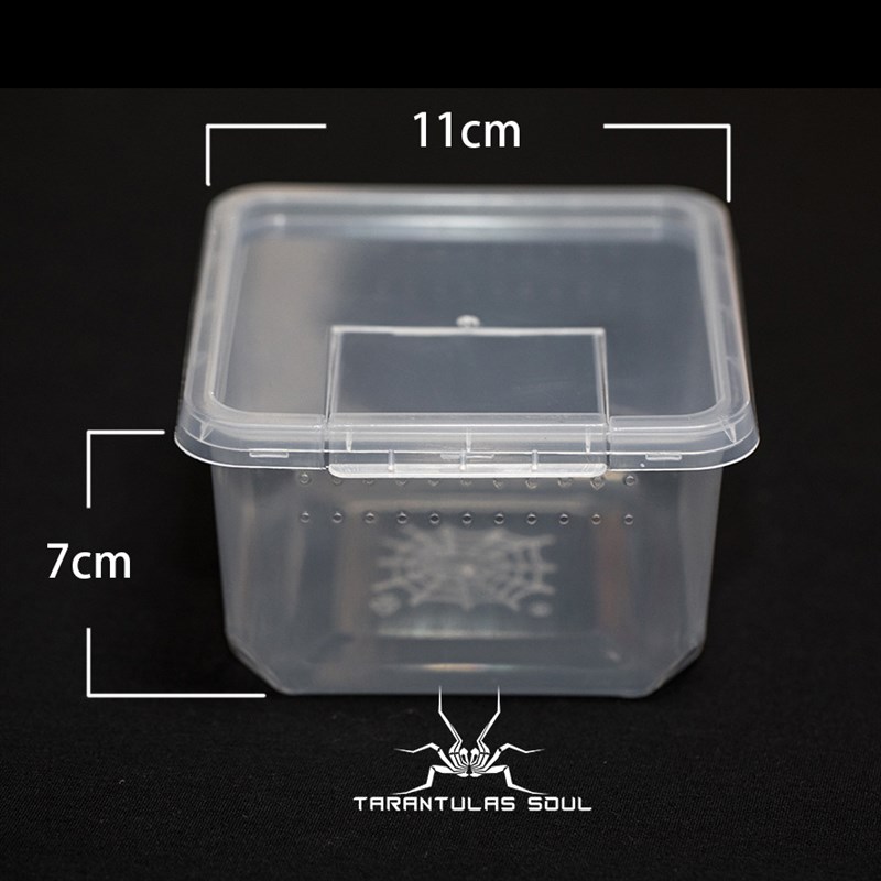 小方盒树地穴饲养盒宠物蜘蛛蝎子幼体高端透明爬虫盒饲养盒