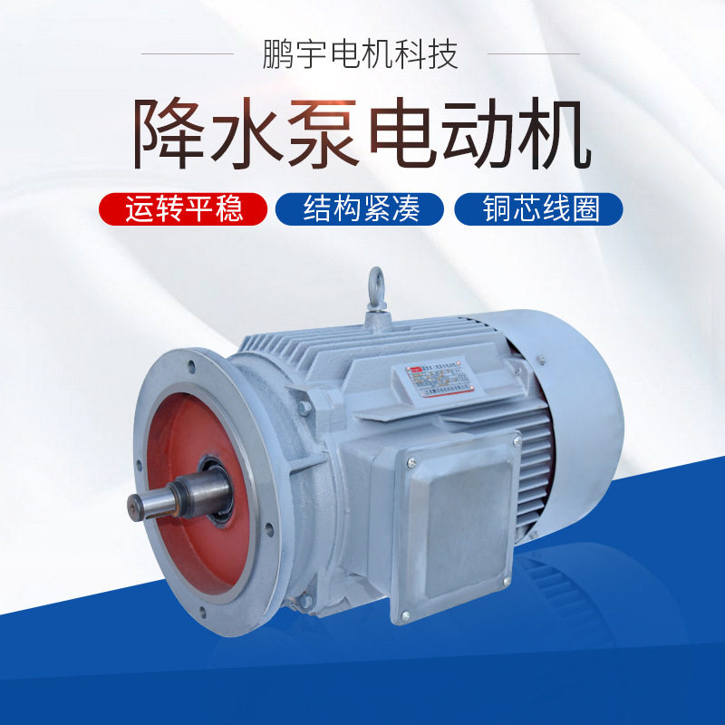 YE3三相异步水泵电机全铜380V
