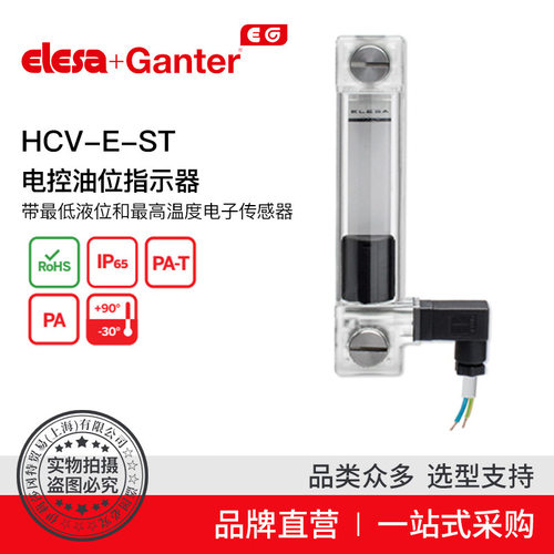 伊莉莎冈特电控油位指示器
