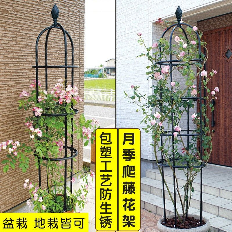 爬藤植物攀爬花架欧式铁线莲架子园艺支架玫瑰花月季花爬架支撑
