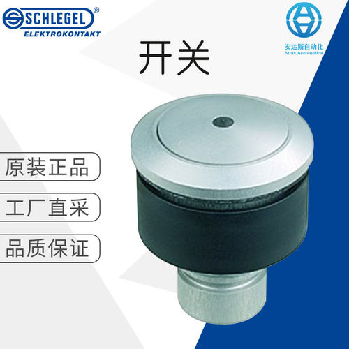 德国直采 SCHLEGEL 开关 防破坏执行器 按钮头 RXJUH