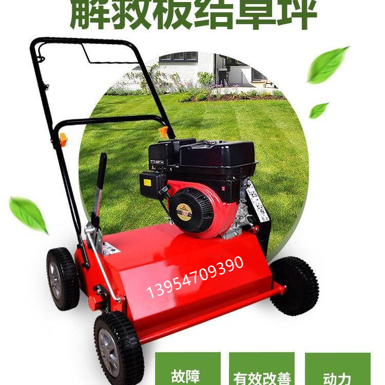 诺伯曼梳草机草坪梳草机汽油6马力手推式真草坪打孔机草地梳理机