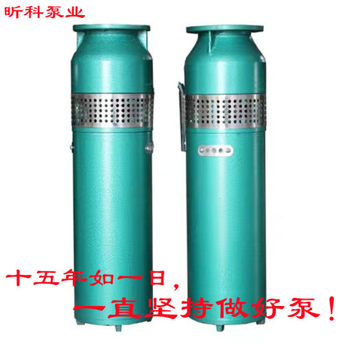 昕科水泵QSP65-13-4 喷泉泵厂家 不锈钢涌泉潜水泵选型 卧式安装