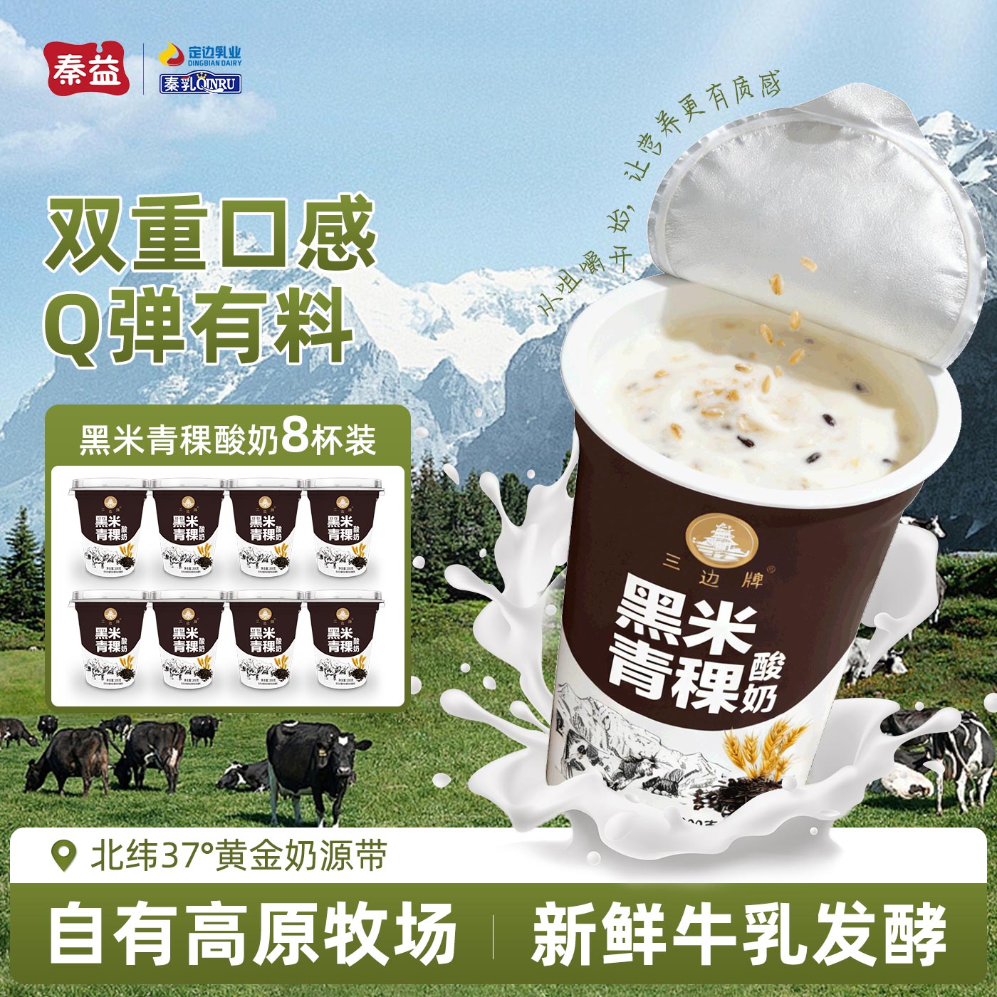 秦益黑米青稞酸奶营养补充蛋白质钙早餐奶嚼劲颗粒液态奶