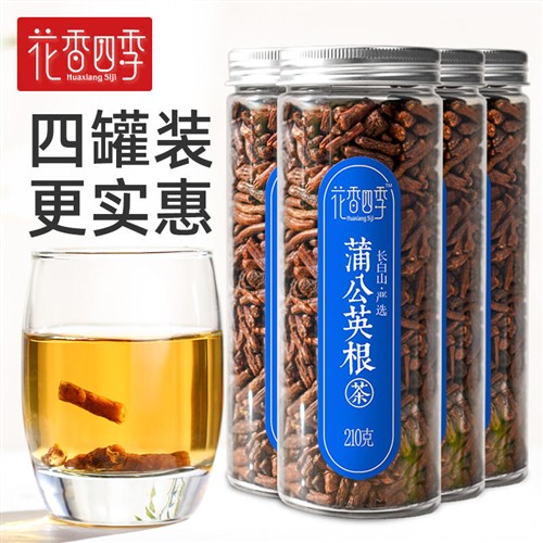 长白山特级蒲公英根茶210g*4罐 茶根炒熟旗舰店浦公英泡茶