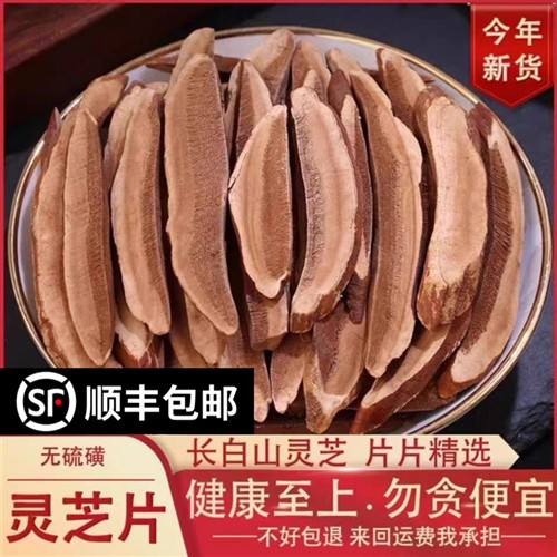 灵芝片500g包邮正宗吉林长白山野生赤灵芝优质大切片泡水泡酒料优