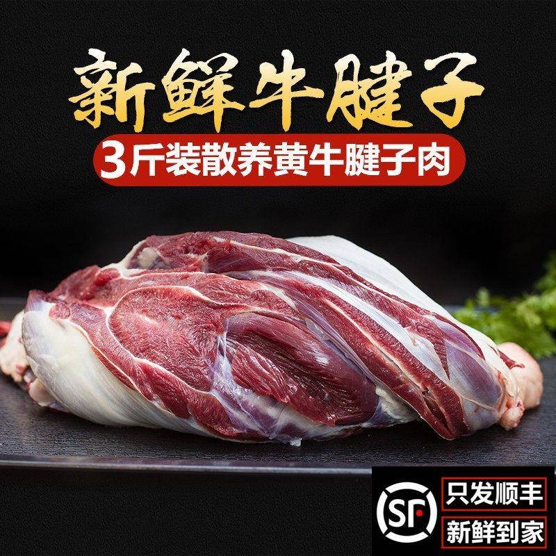 新鲜牛腱子肉 国产黄牛肉 山东土黄牛 新鲜牛肉生牛肉 整根牛腱肉