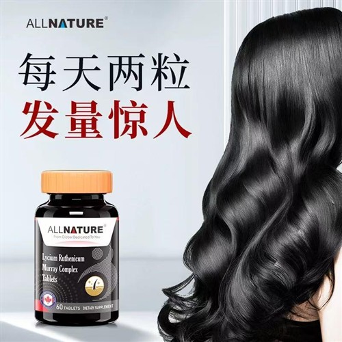 加拿大原装进口安美奇黑果枸杞桑椹复合片刺梨乌发秃脱发滋养食疗
