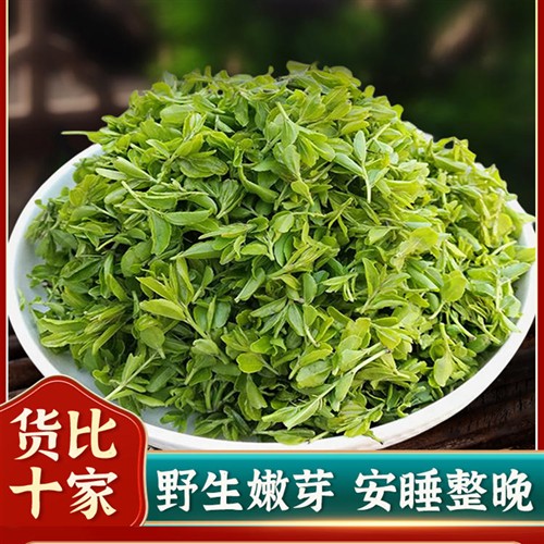 枣芽茶泰山野枣叶茶睡茶山枣牙茶2025枣芽茶