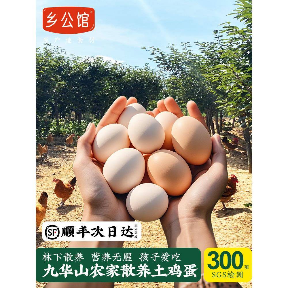 正宗九华山土鸡蛋农家散养无抗新鲜谷物草鸡蛋农村真正柴鸡蛋生鲜