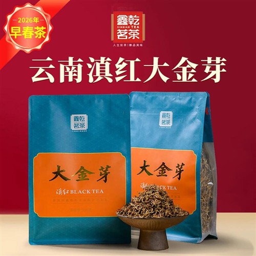 鑫干茗茶凤庆滇红大金芽 颗颗嫩芽制作花香果香鲜爽甘甜 2026新茶