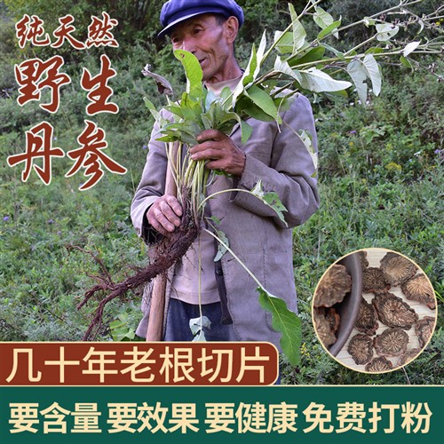 正品纯天然特级野生紫丹参根中药材丹参片泡茶川芎细粉500g克包邮