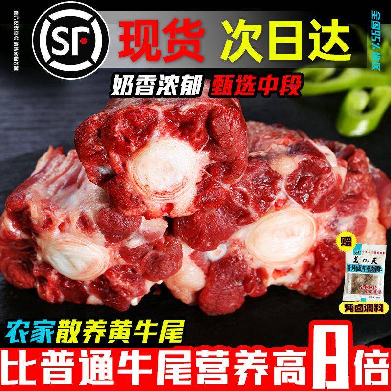2斤牛尾巴骨新鲜整根原切鲜牛肉安格斯生牛尾冷冻乌拉圭进口宝宝