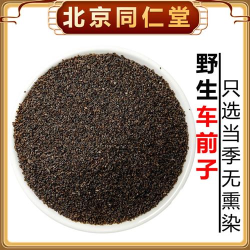 野生车前子中药材大别山车前籽车前草籽正品车前子泡茶