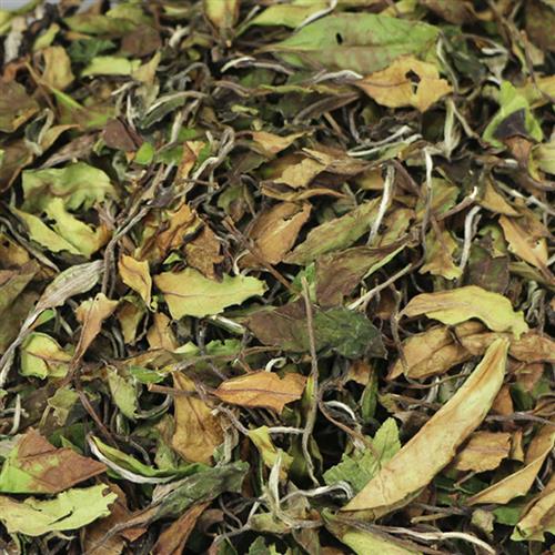 品茗桂香 高山白茶福鼎大白茶日晒白露寿眉2025新茶叶散装1000克